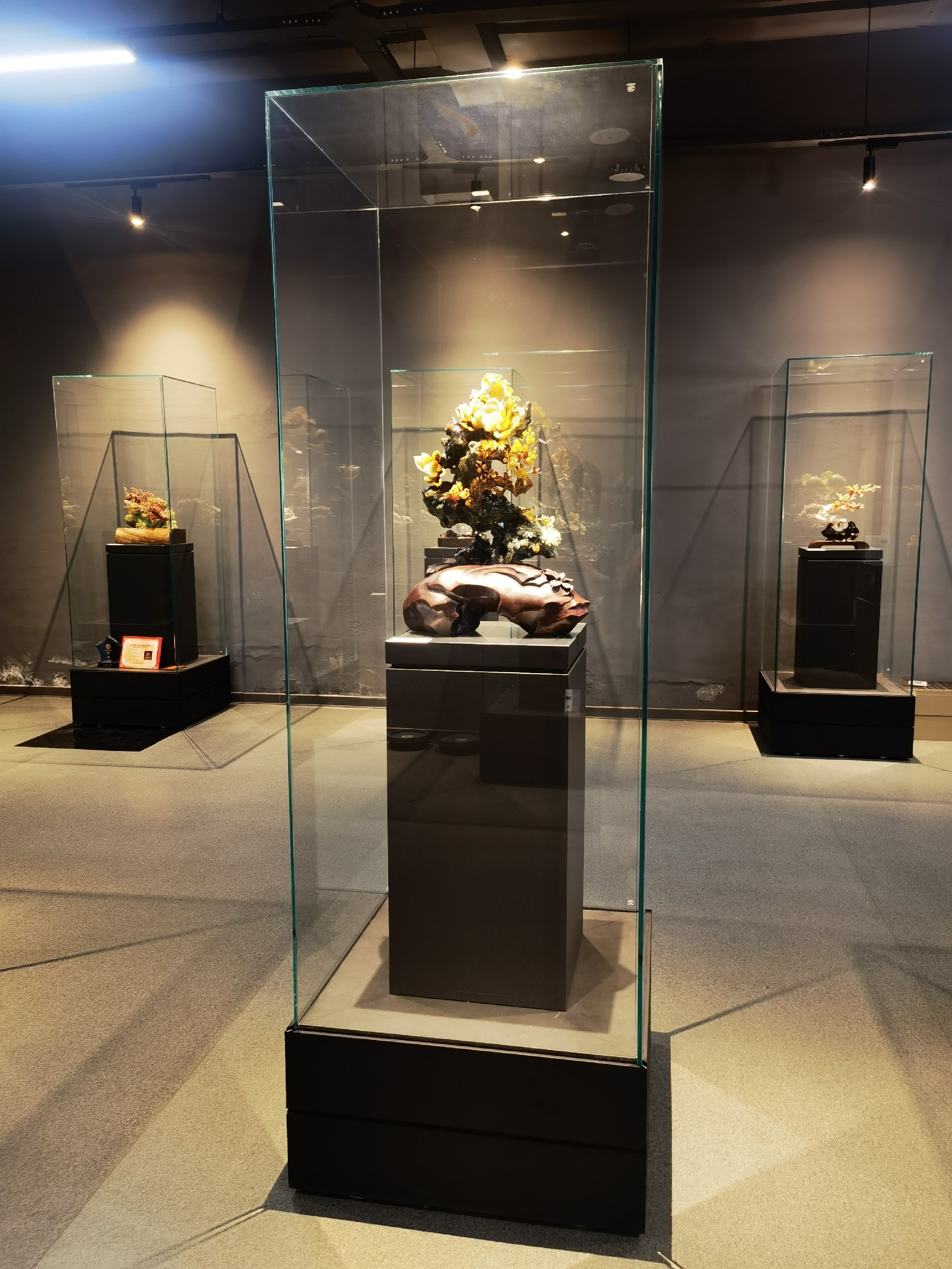 博物館獨立柜廠家